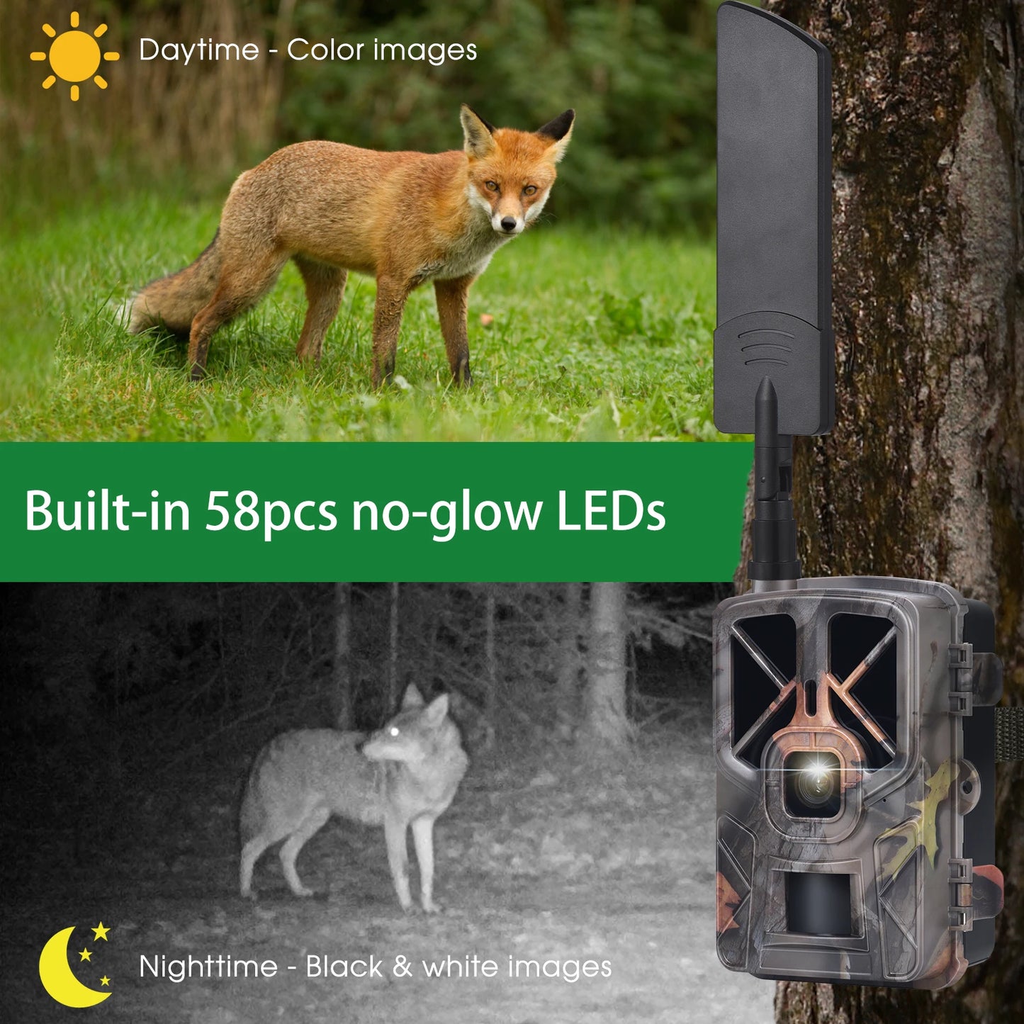 Tomshoo 4G/LTE Camera Wireless 30MP Trail Camera Waterproof Outdoor Infrared Night Vision Security Camera