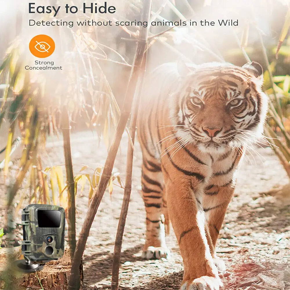Mini Night Vision Camera 20MP 1080P Surveillance Waterproof Cam