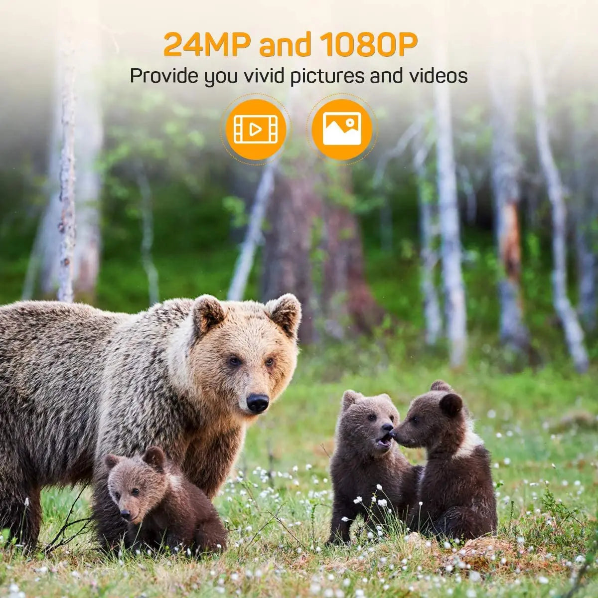 HC802A, 24MP Video Camera, Infrared, Wireless Surveillance CAM